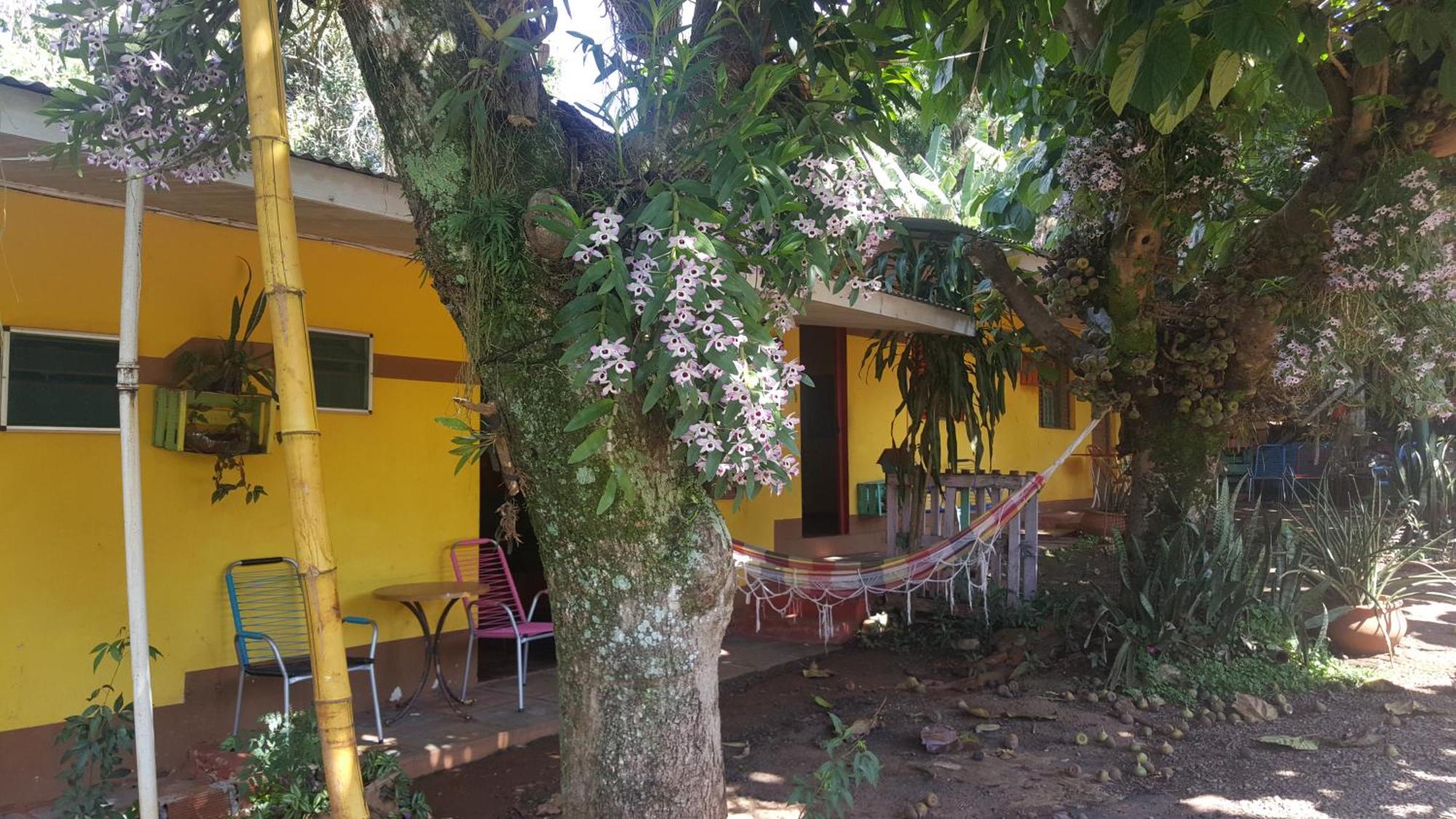 Hotel Y Residencial Amigos 푸에르토이과수 외부 사진